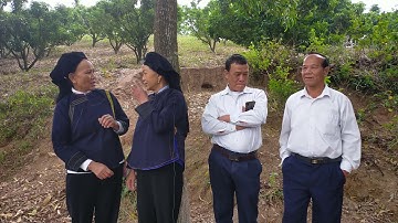 HÁT SIY PHONG VÂN LỤC NGẠN BẮC GIANG 09 112021 ÂM LICH(1)