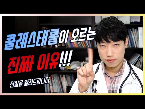 고지혈증의 원인 l 지방/콜레스테롤 뜻, HDL/LDL/TG l 채식이 콜레스테롤을 높이는 이유 l 닥터딩요