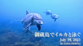 御蔵島でイルカと泳ぐ July 14, 2023 by GoPro HERO11 - YouTube