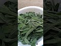 Green Dark Vegetables Secrets