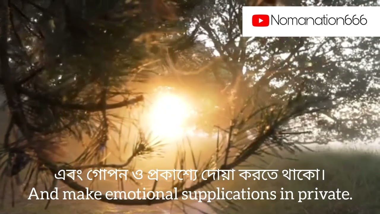 The way of the tears nasheed with bangla and english subtitle(slowed and reverbed)