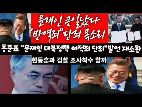 [문재인 큰일났다]반역죄 <strong>처벌</strong>  목소리에 <strong>홍준표</strong> &amp;quot;문재인 여적죄 단죄&amp;quot; 발언 재소환