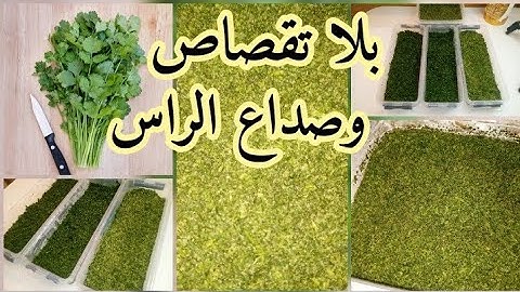بلا تقصاص ولا صداع الرأس ‼️ حتافضي بيه سنة في المجمد بلا مايجمد ولا يتحجر كمية كبيرة في دقائق 👍