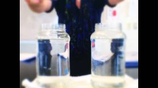 Warm Water Experiment