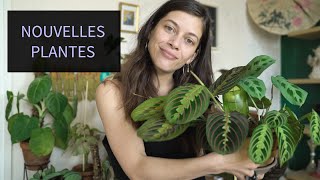 #4 HAUL PLANT | SURPRISE ET ACHAT CHEZ PLANT&STORIES