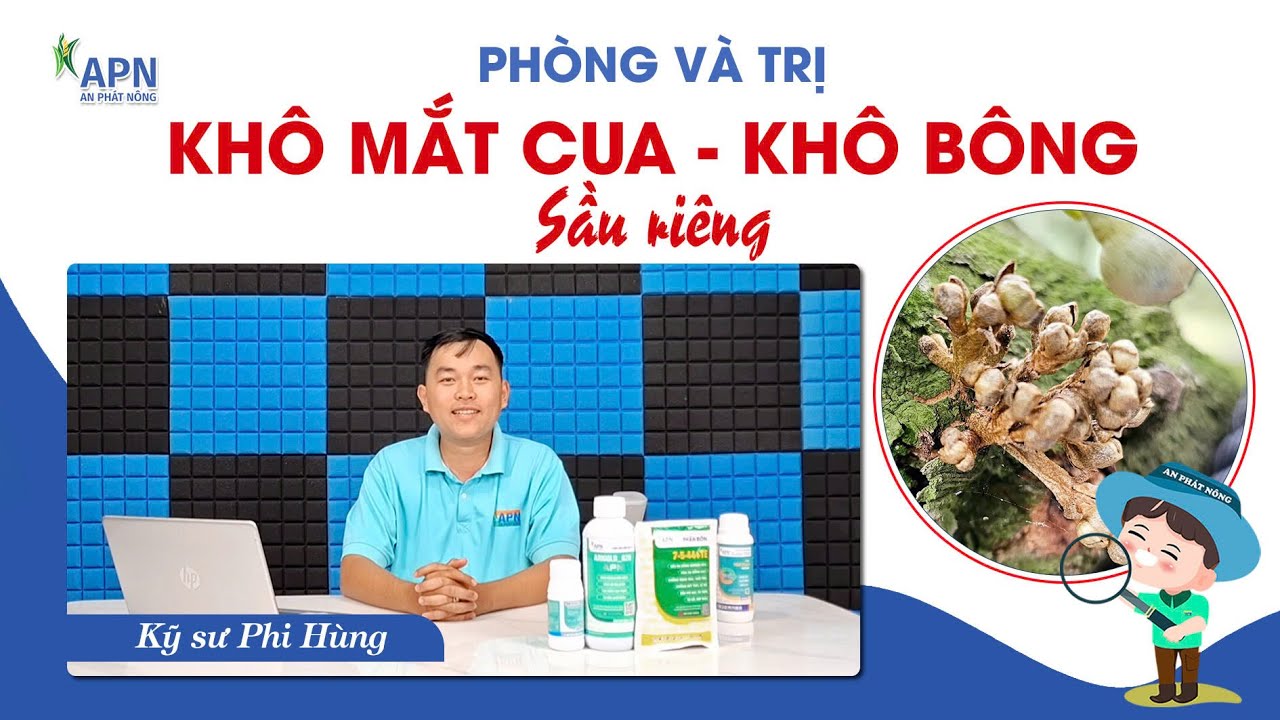 APN - PHÒNG VÀ TRỊ KHÔ MẮT CUA - KHÔ BÔNG SẦU RIÊNG