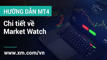 XM - Hướng Dẫn MT4 - Chi tiết về Market Watch.