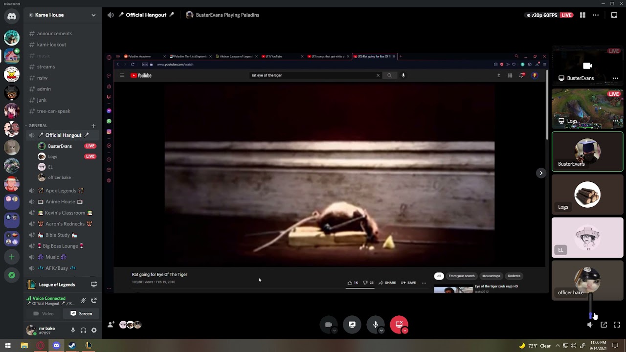 Nolans Cheddar Cheese