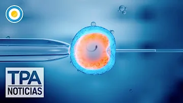 ¿Están vivos los embriones congelados?