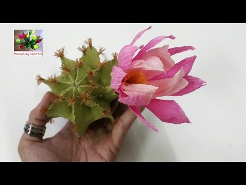 DIY Craft Tutorial How To Make Paper Flower Cactus By Crepe Paper