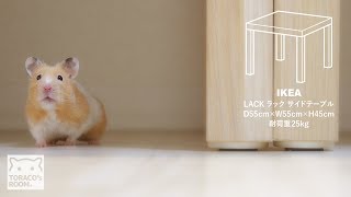 イケアのテーブルがハムケージを置くのに良い感じ。【ゴールデンハムスター】/IKEA tables are suitable for setting up a hamster cage.