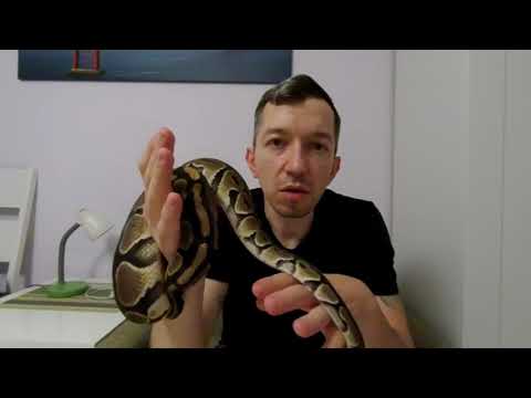 Видео: Как змиите сменят кожата си