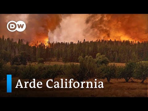 Video: Yosemite prende i terremoti?
