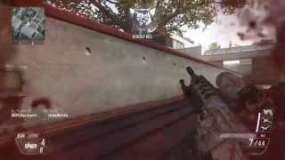 Quad Feed on Raid (bo2)