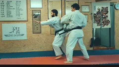 Uechi-Ryu Kick block drills