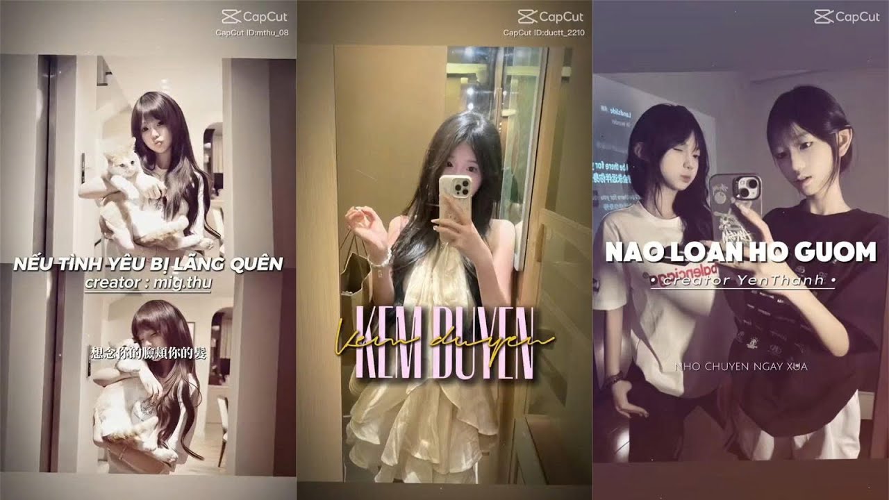 🎶Nhạc chill tiktok -Tổng hợp những bản nhạc chill tiktok✨#26