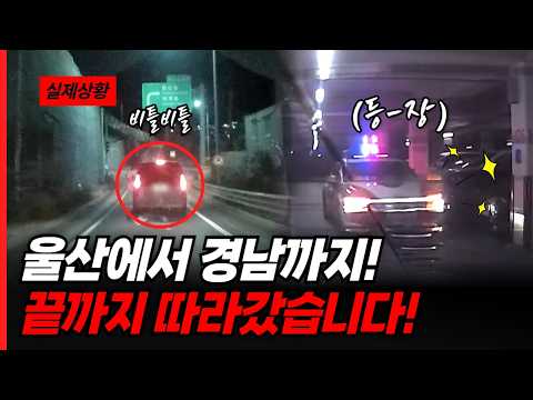 울산에서 경남까지🔥🔥 끝까지 따라갔습니다!! '두-둥' 등장!!✨
