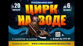 Цирк На воде Нальчик с 20 сентября 2019 Цирк На воде Нальчик с 20 сентября 2019