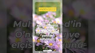 Peygamber Efendimiz S.a.v, Günahların Bağışlanmasına Sebep Olan 3 Dua Hakkında Şöyle Buyurdu