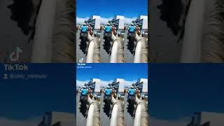 festival padre kino MAGDALENA DE KINO SONORA