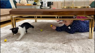 Evimize Yavru Kedi Geldiii Minik Patileriyle Yusufun Toplarıyla Oynadı Çok Oyuncu Bir Kedicik