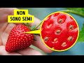Le vite segrete delle cose che ti circondano