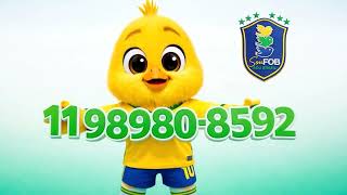 Canarinho Pistola é mascote da seleção e Penacho é mascote da FOB e Megazoo na torcida rumo ao Hexa