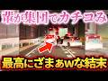【ドラレコ】プリウス乗りの輩が集団でカチコんだ結果…ざまぁwすぎる結末に!衝撃ドラレコ映像56連発!迷惑運転まとめ【作業用】【交通安全、危険予知トレーニング】