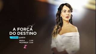 A Força do Destino - Quinta Chamada de Estreia na ZAP Novelas | Arzu
