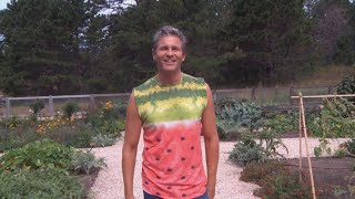 Come Tour David Burtka and Neil Patrick Harris' STUNNING Home Garden