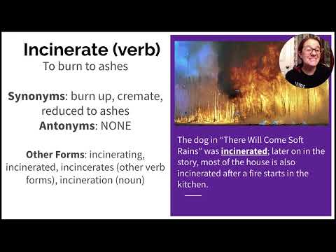 Sadlier Vocabulary Books