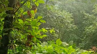 Kozan Deresi Kanyonunda Maceramız Devam Ediyor