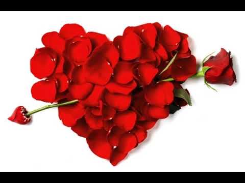 [TJ노래방라운지] 사랑참 - 장윤정