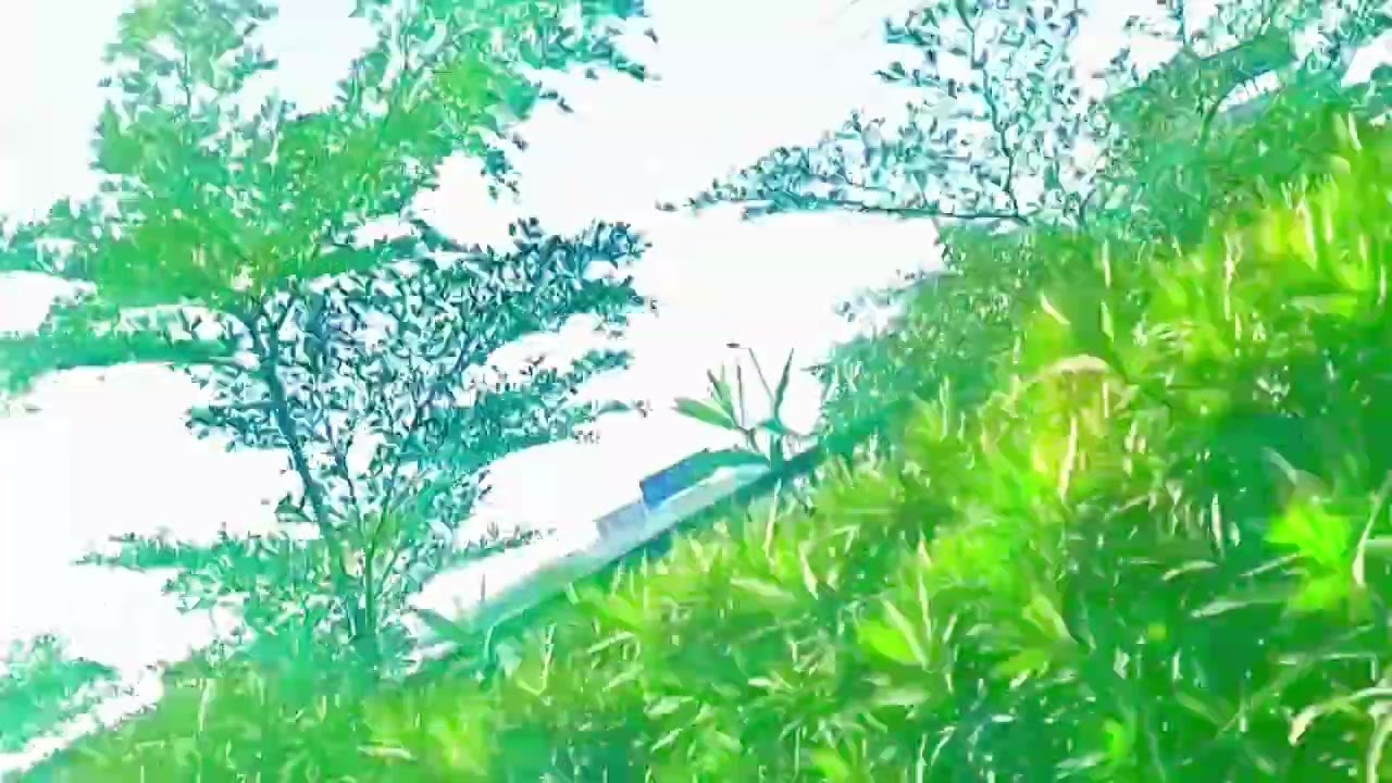 Abdul #orgenal #mini vlogs #came #tu#delhi  onak sundor lagche gurta like subscribe kardo 👍🙏