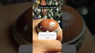 Download Lagu fosil aren merah #batuakik #batuakikindonesia #shortvideo #shorts #gemstonejewelry #gemstone MP3