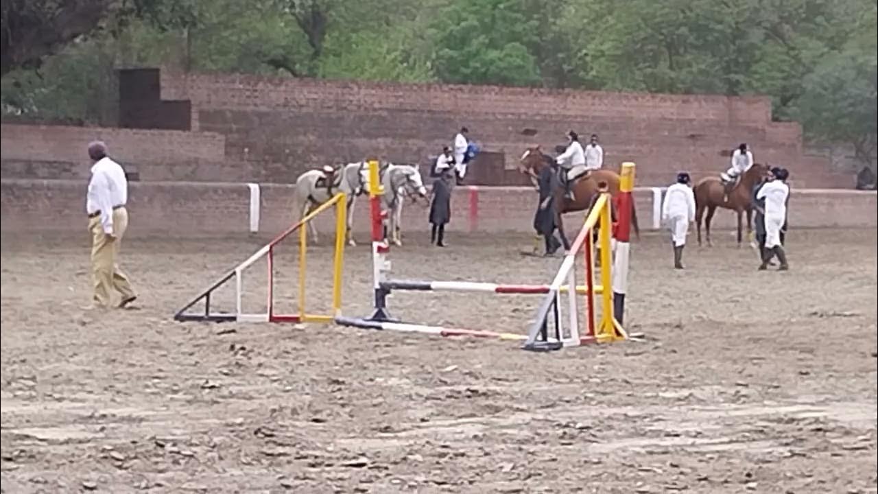 Day 12th, Horse Jumping Training, Aitchison College Lahore YouTube