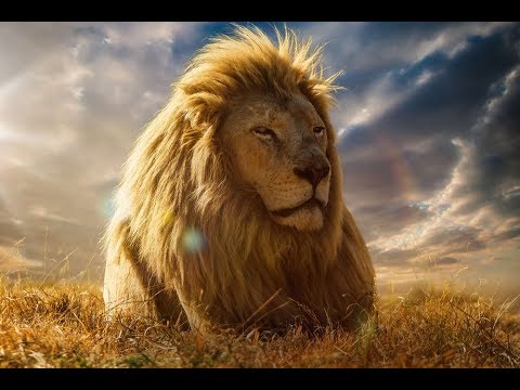 Seminario de Varones Calacoaya, 1° Trimestre 2019, 8a Enseñanza, Muerte