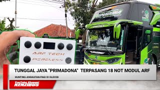 Penambahan Modul ARF Terbaru di Unitnya Tunggal Jaya Primadona || Hunting Angkatan Pagi 
