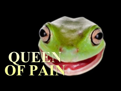 Balanced hero: Queen of Pain