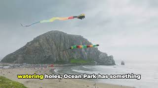 Ocean Park  Washington: Top 10 Must Do's