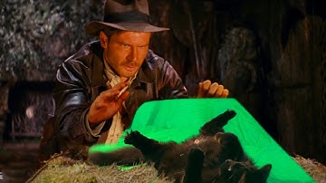 Indiana Jones with My Cat (Behind the Scenes)