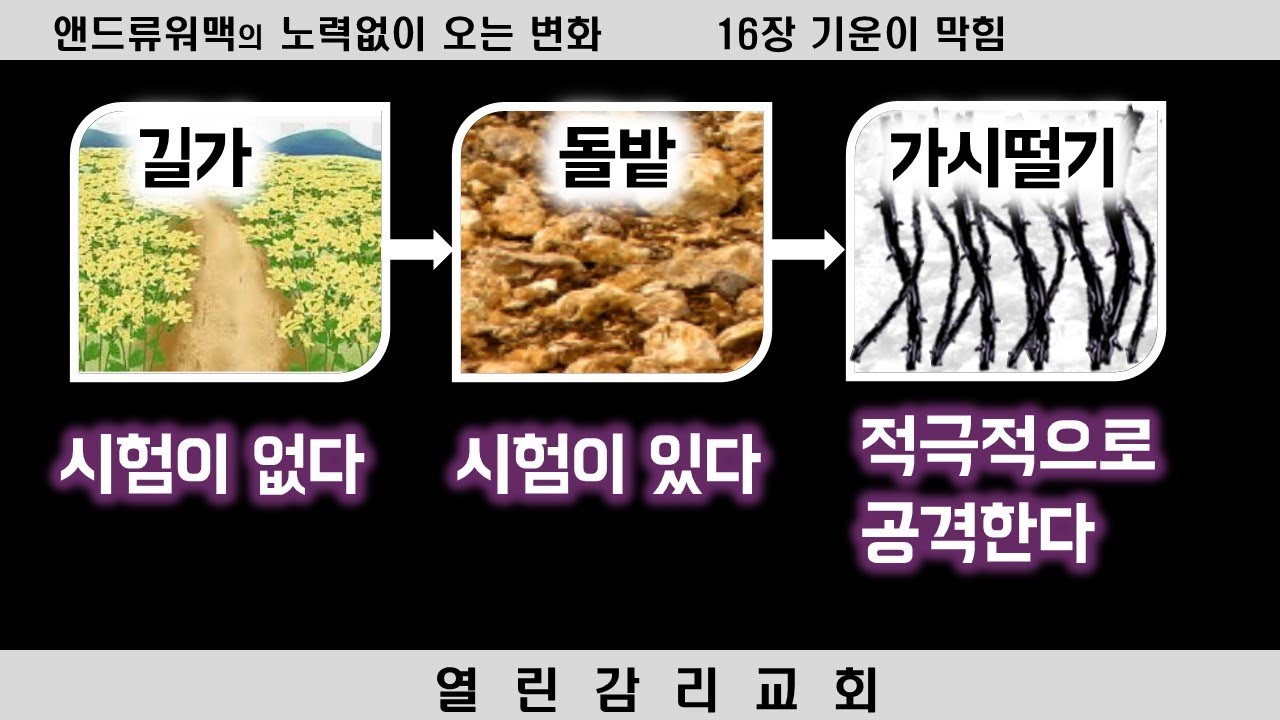 노력 없이 오는 변화 19) 말씀의 기운을 막는 바쁜 일상, 세상의 염려, 재물의 유혹, 향락, 기타 욕심 (240309 ...