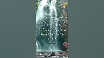 يا رب اخرج من صدورنا الغل،من سورة الأعراف القارئ محمودالمبيض،#محمد_رسول_الله#صلى_الله_عليه_وسلم