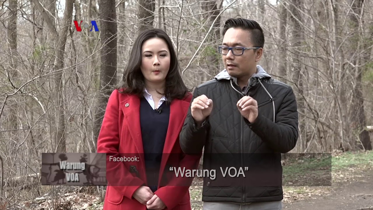 berita guru 2019 Warung VOA: Melestarikan Alam Liar (3)