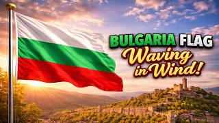 Bulgaria Flag Waving In Wind Fullhd Loop Bulgarian Flag Background