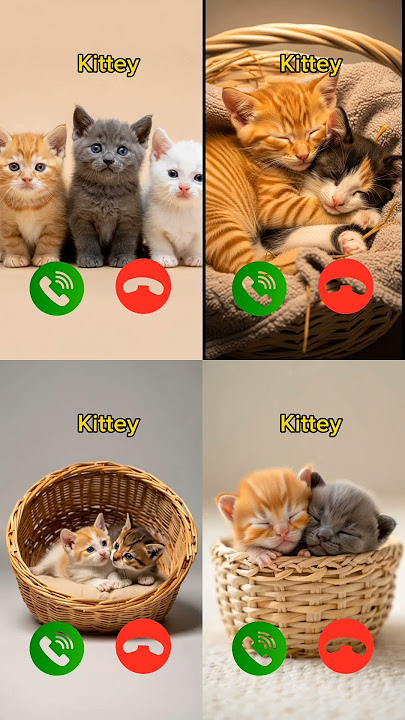 catcall #aicat #ringtone #ringtones #iphone #cat #shorts #catcalling #monkcall #monk #smartphone