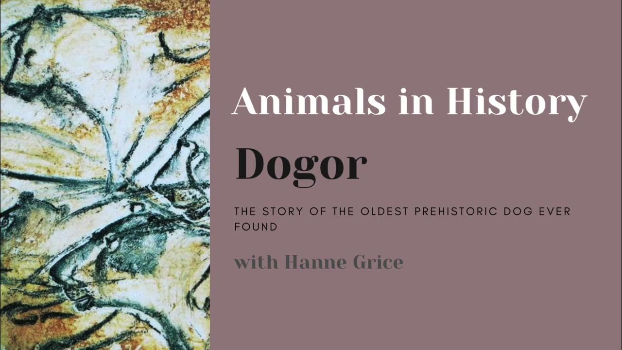 Animals in History the story of Dogor, the oldest prehistoric dog