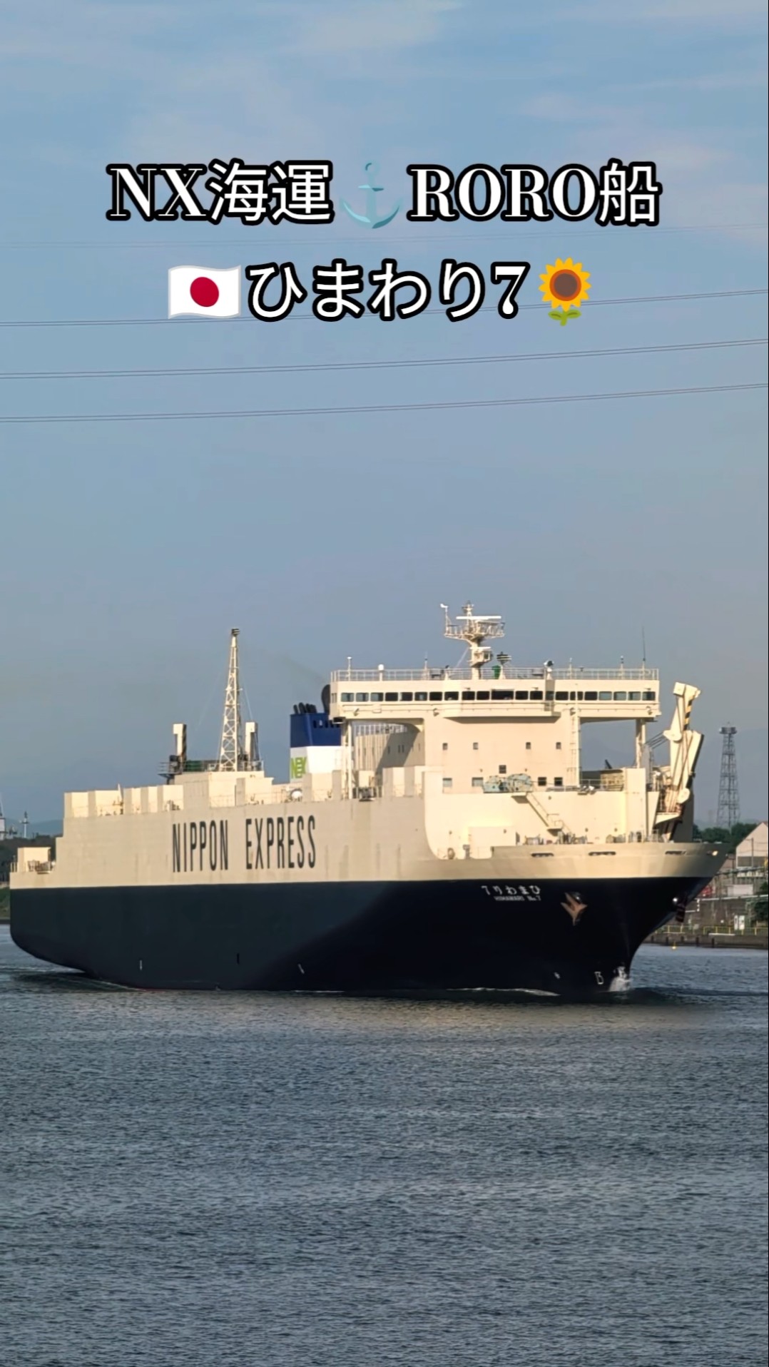 NX海運⚓RORO船🛳️ひまわり7🌻 - YouTube