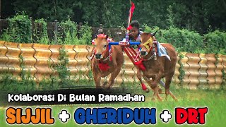 Spesial Latihan Karapan Sapi Di Bulan Ramadhan ( SIJJIL x GHERIDUH ) - DRT \u0026 KAWAN-KAWAN