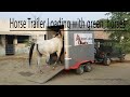 Horse trailer loading with green horses